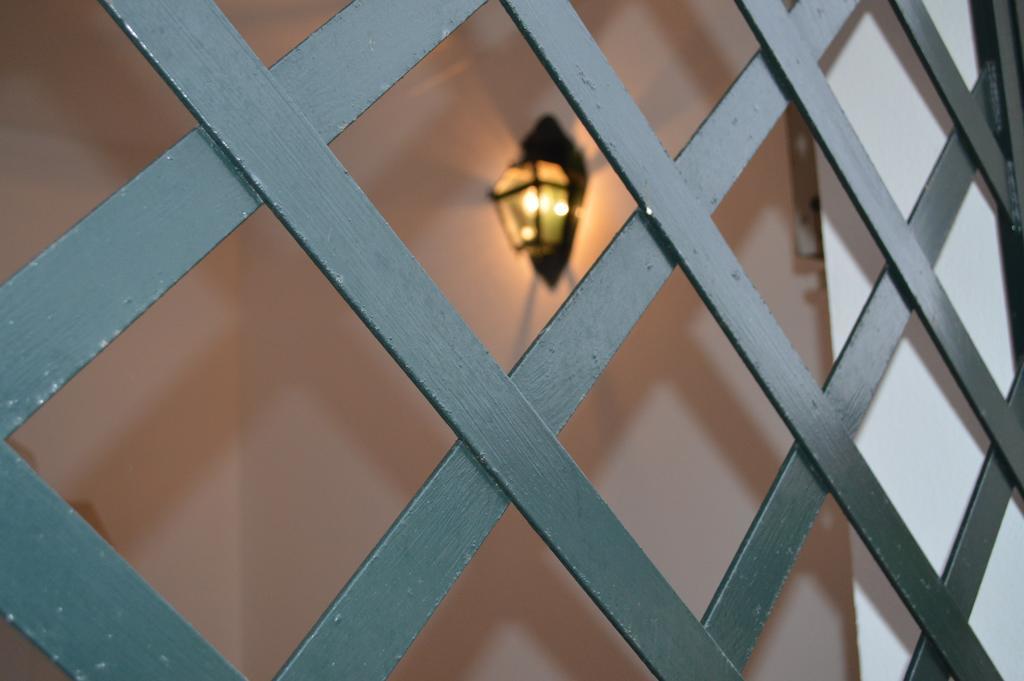 Lusitanus Villa Golega Ngoại thất bức ảnh