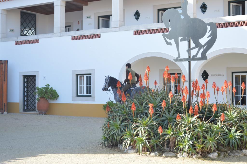 Lusitanus Villa Golega Ngoại thất bức ảnh