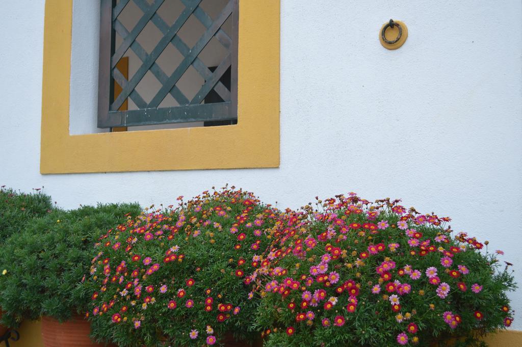 Lusitanus Villa Golega Ngoại thất bức ảnh